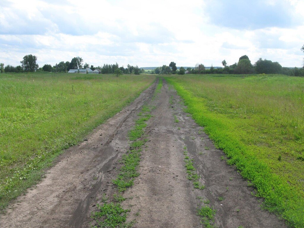 Дорога на деревню