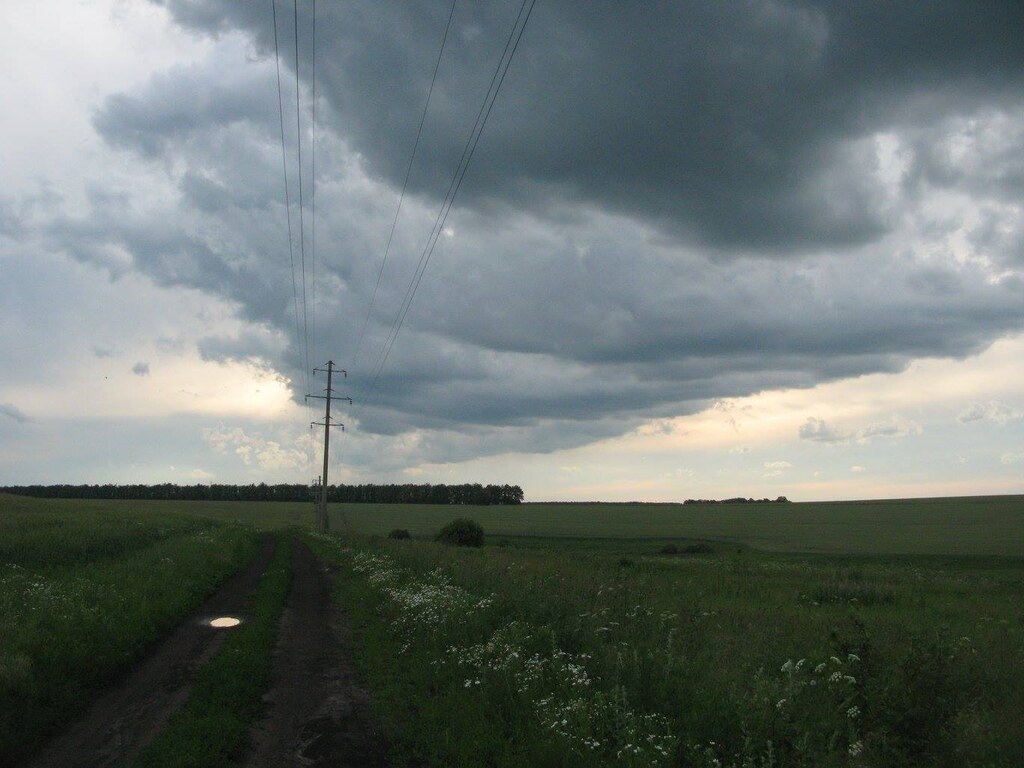 Дорога на речку
