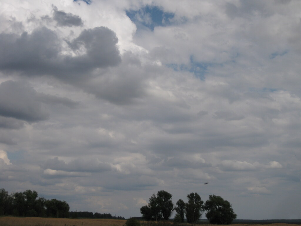 Перед грозой