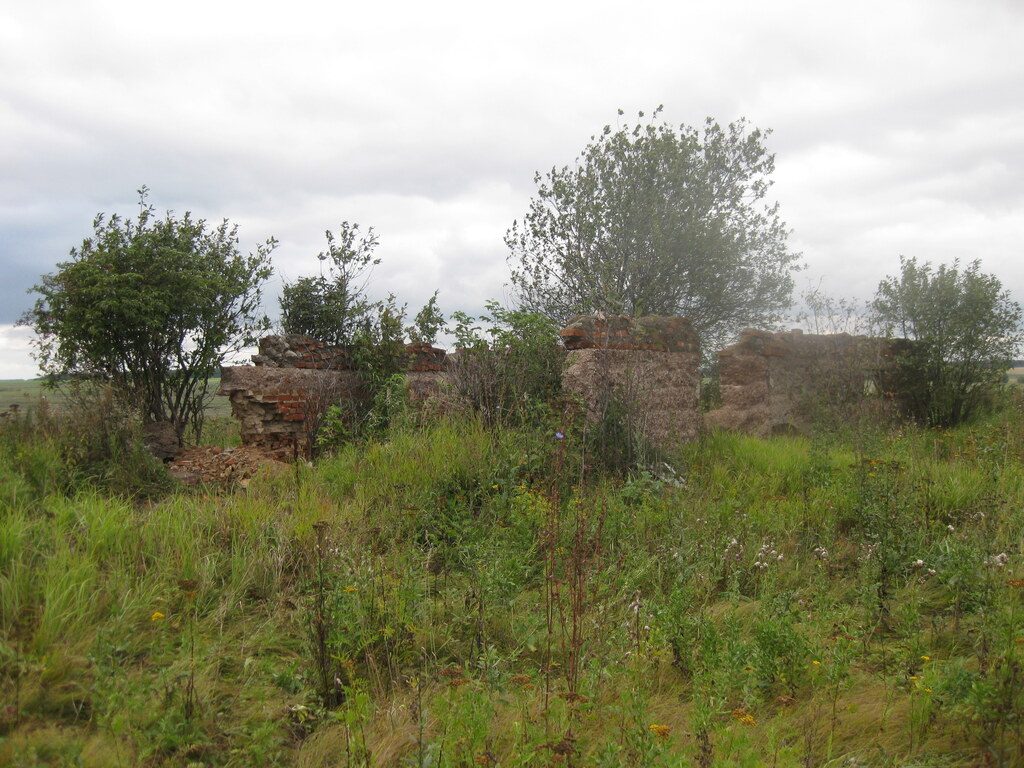 Природа в деревне