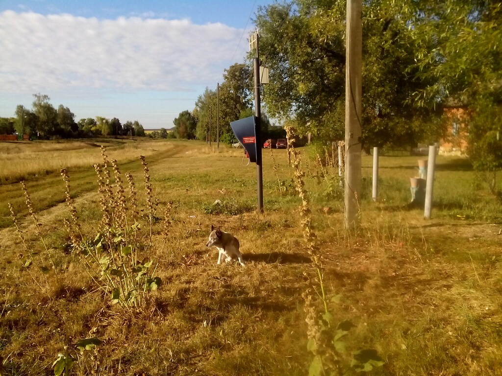 Дом Ерошкиных