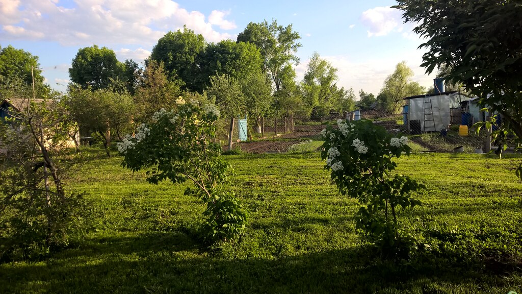 Цветы