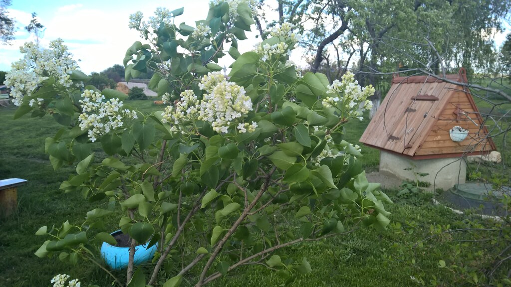 Колодец