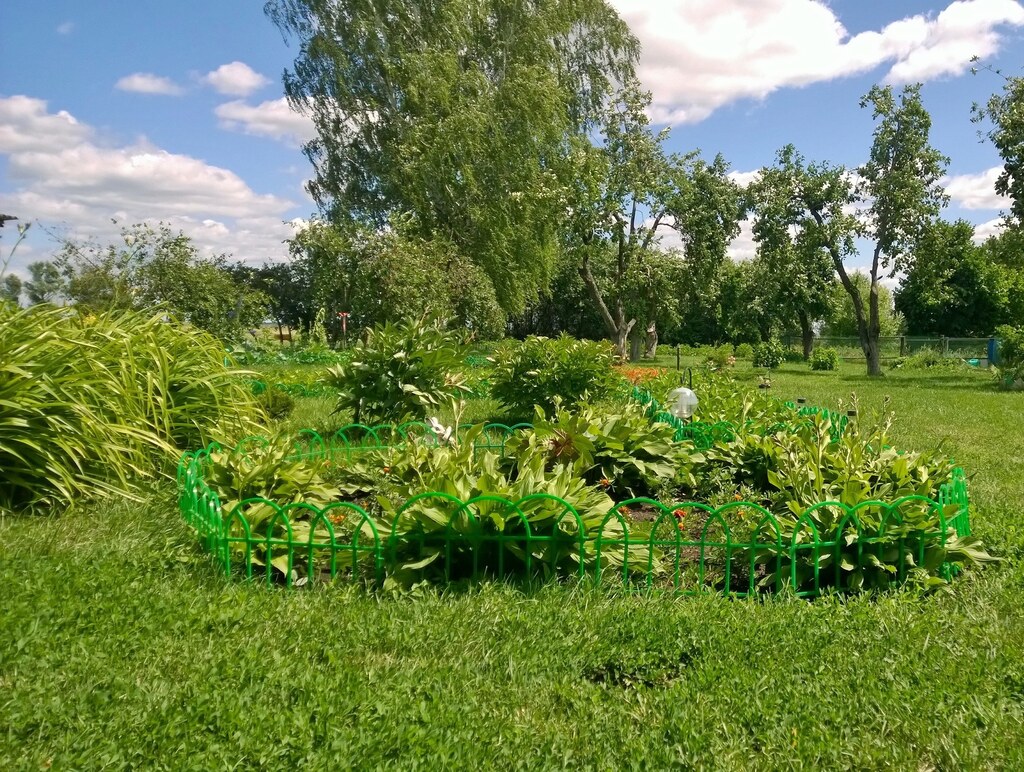 В саду