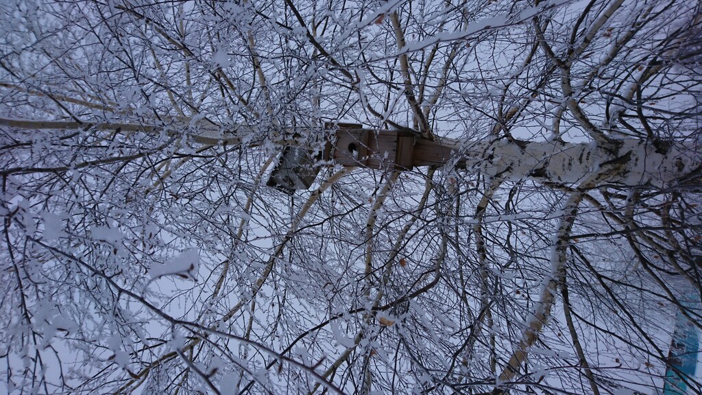 Дом Копыловых