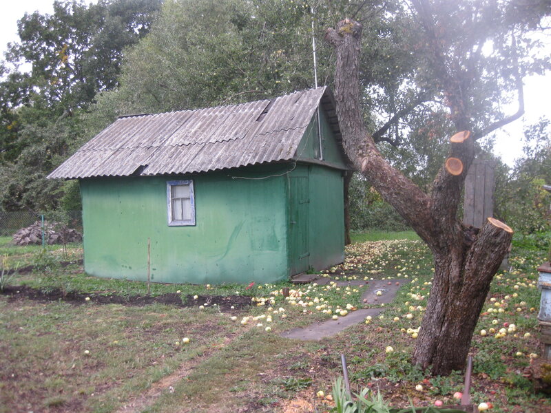 Сарай в саду