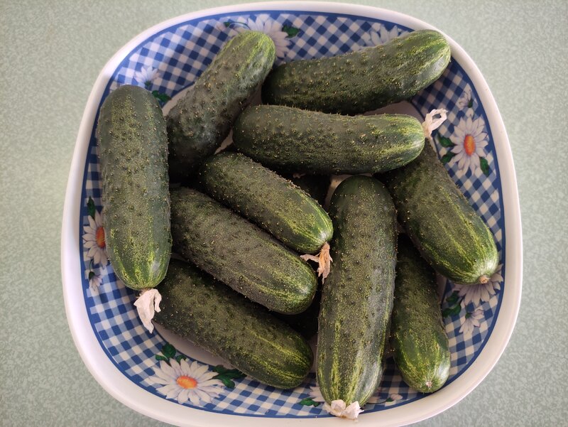 Дом Копыловых