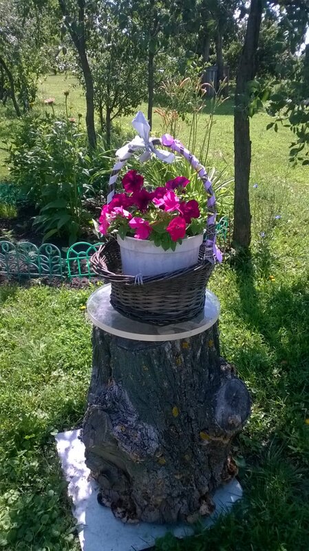 В саду у Маркиных