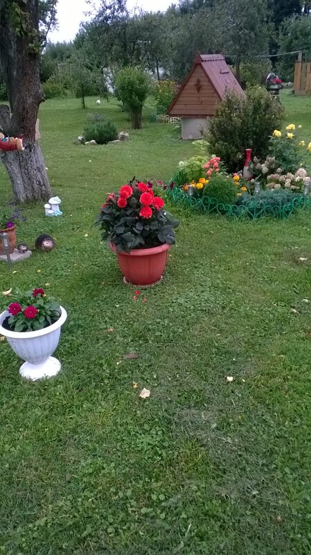 В саду у Маркиных
