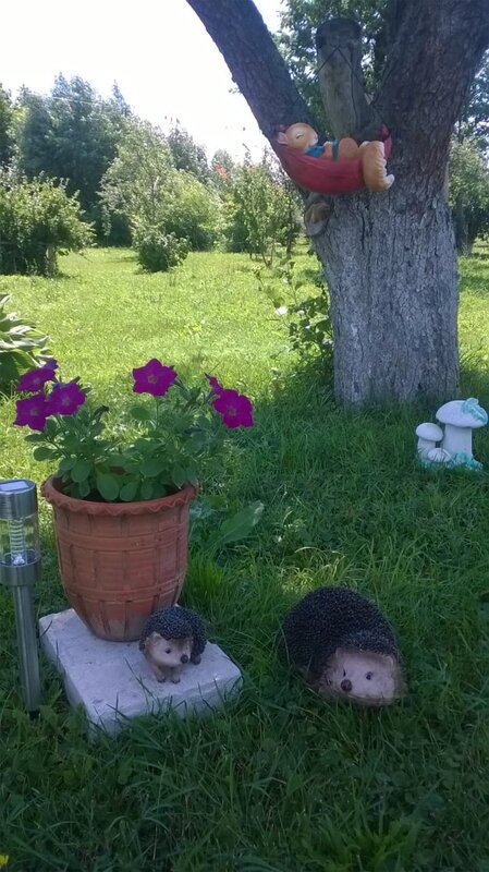 В саду у Маркиных