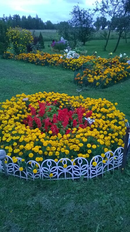 В саду у Маркиных