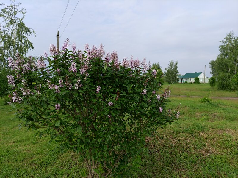 Дом Копыловых