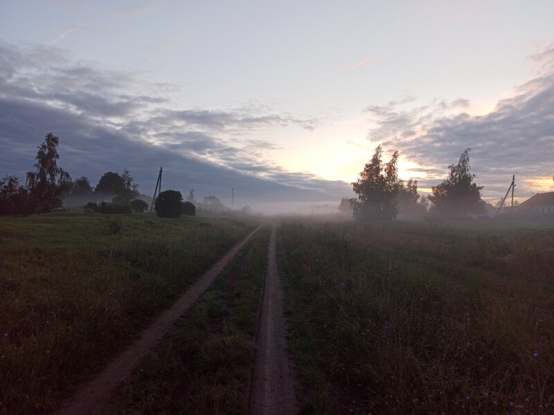 Туманная дорога на деревню