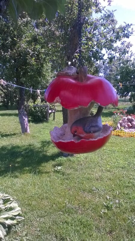 В саду у Маркиных