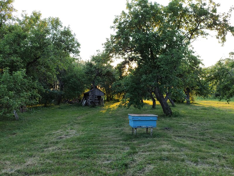 Дом Копыловых