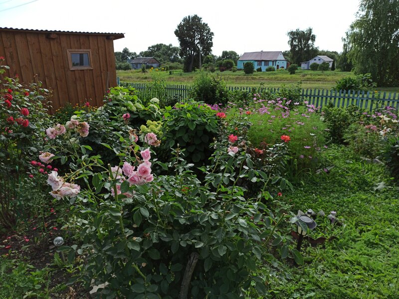 Палисадник
