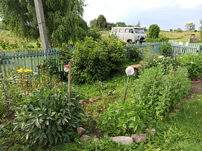 Палисадник