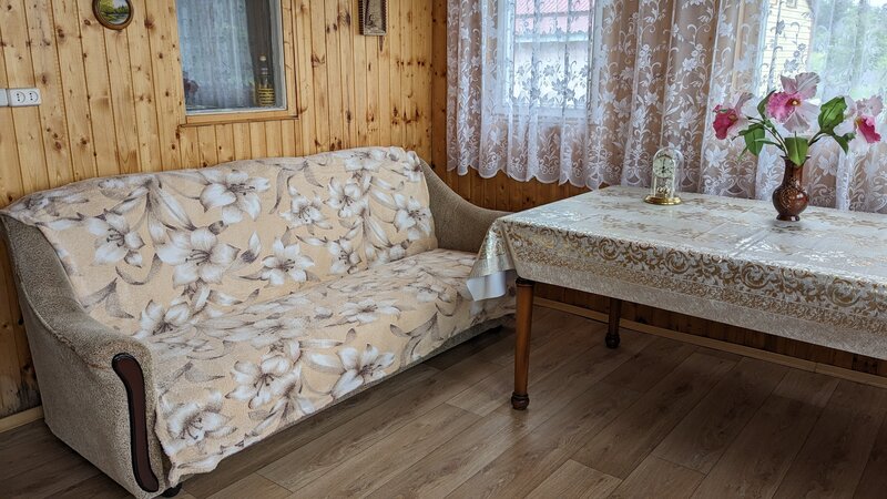 Дом Копыловых