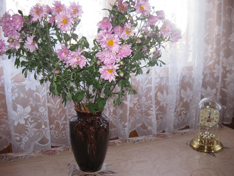 Цветы в террасе