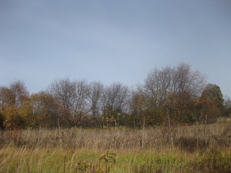 Природа