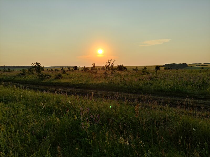 Деревенская природа
