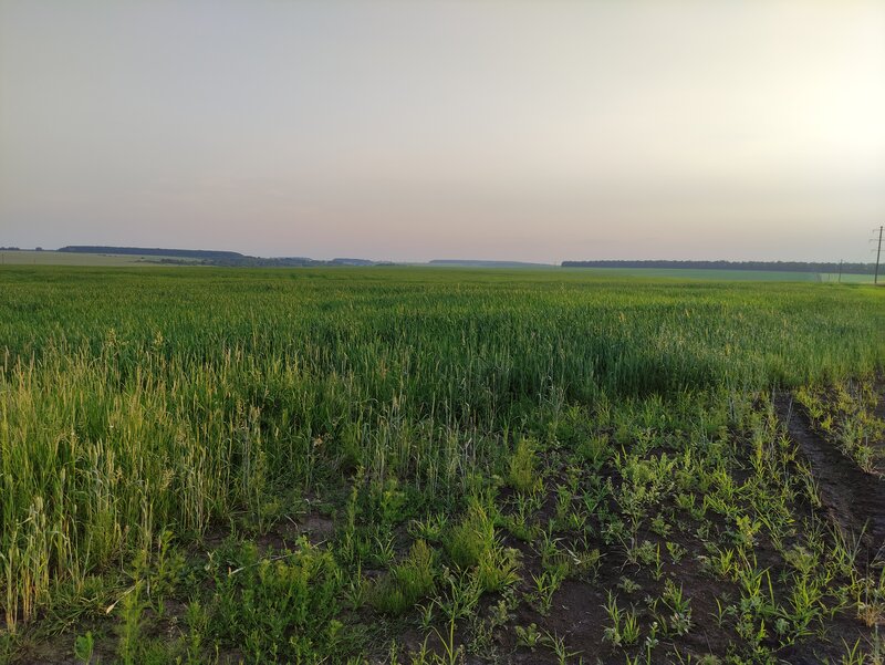 Деревенская природа