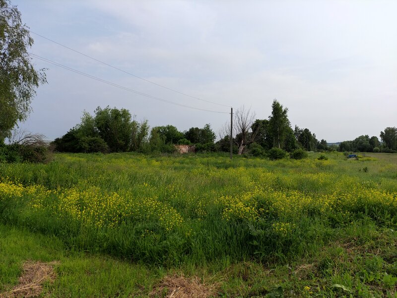 Остальные дома