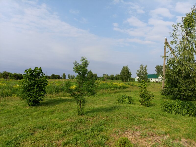 Дом Копыловых