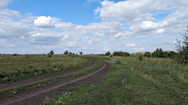 Природа и всё остальное