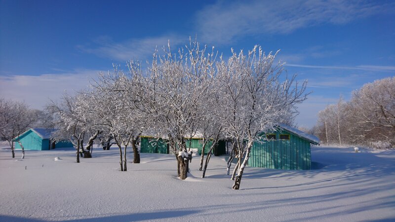 В саду у Копыловых