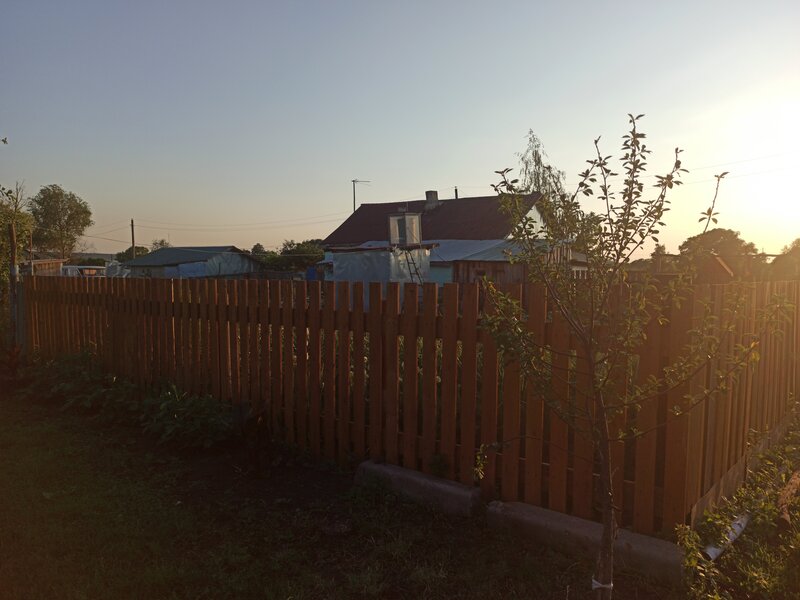 В саду