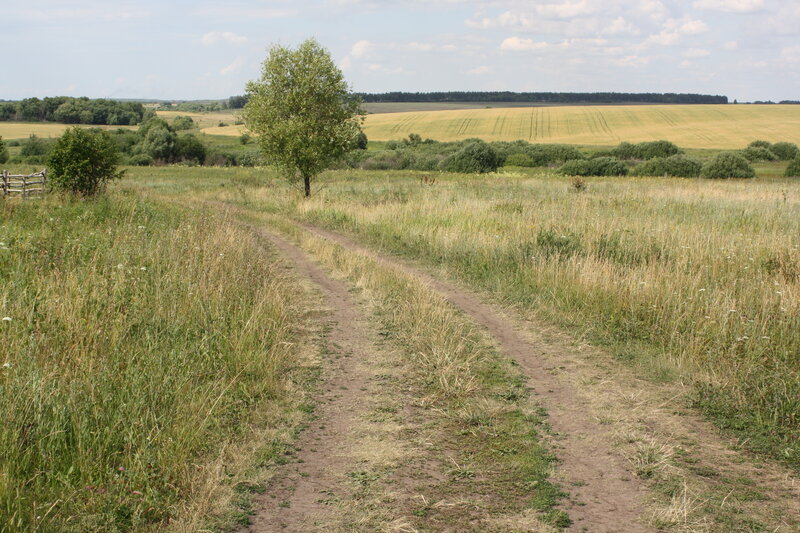 Дорога на родник