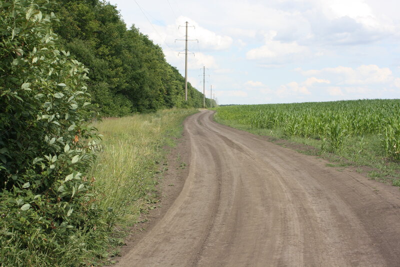 Дорога