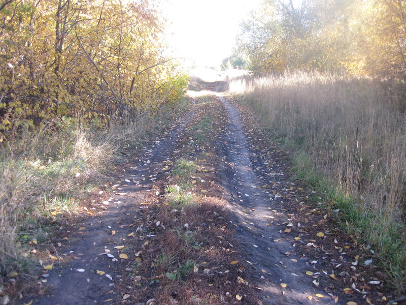 Дорога