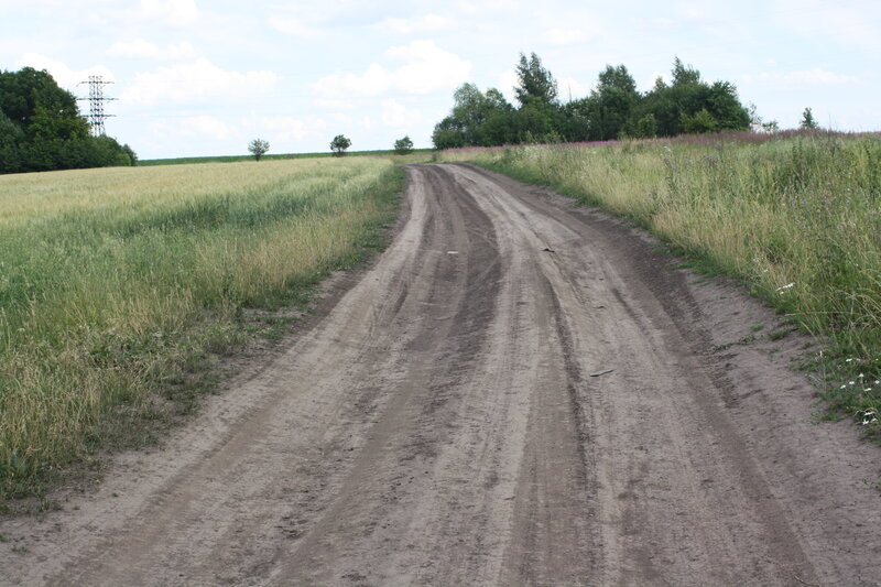 Дорога