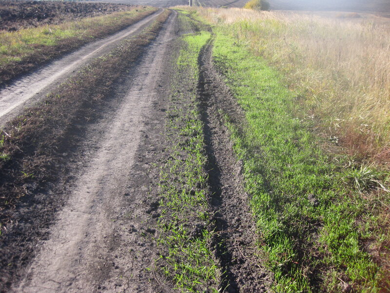 Дорога