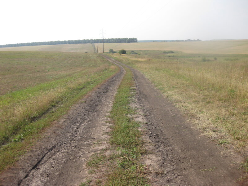 Дорога