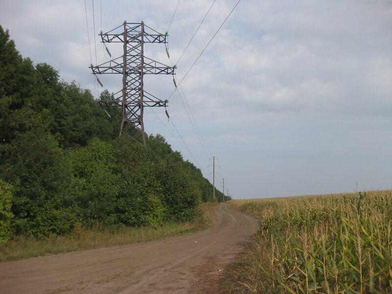 Дорога