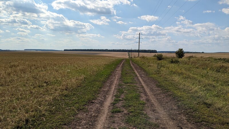 Природа и всё остальное