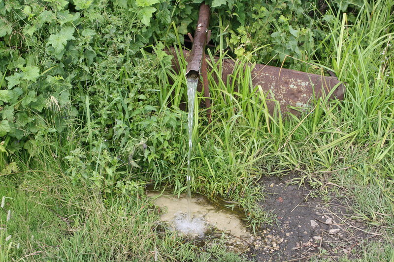 Родник