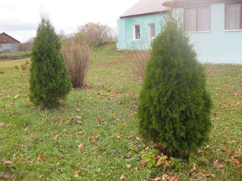 Дом Копыловых