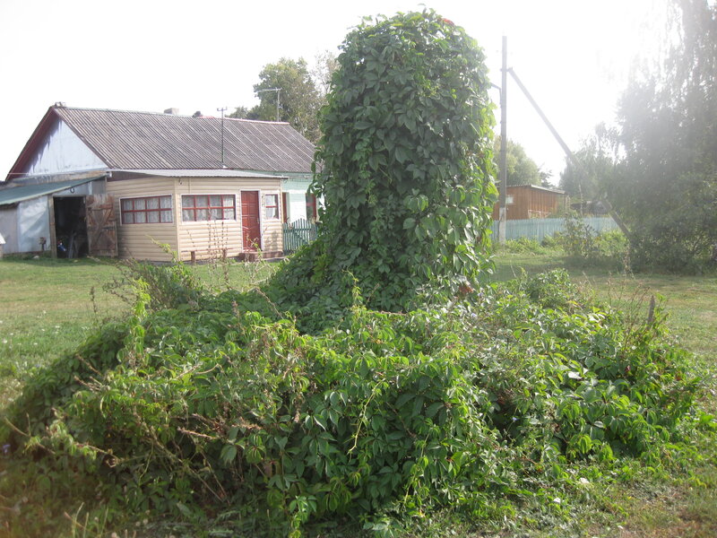 Дом Исаевых