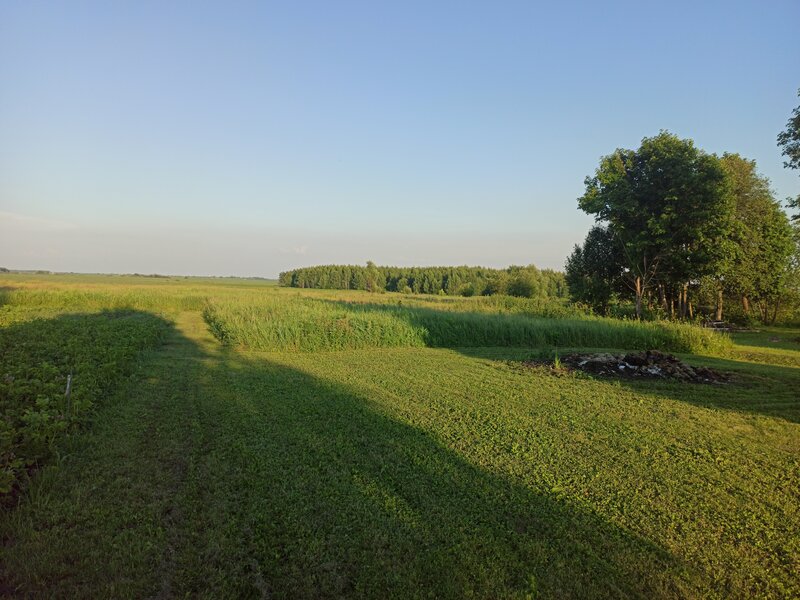 Деревенская природа