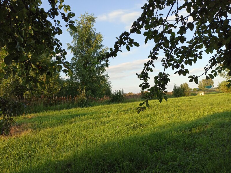 Деревенская природа