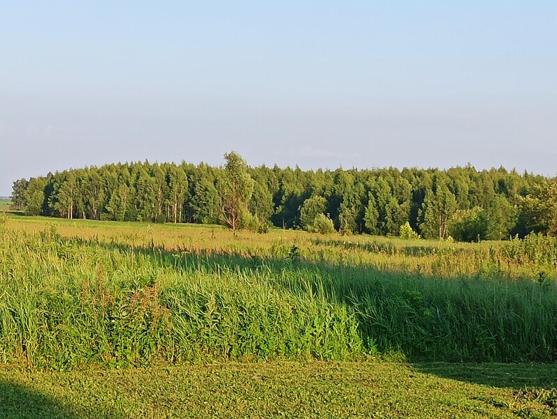 Деревенская природа