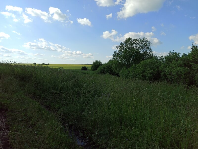 Деревенская природа